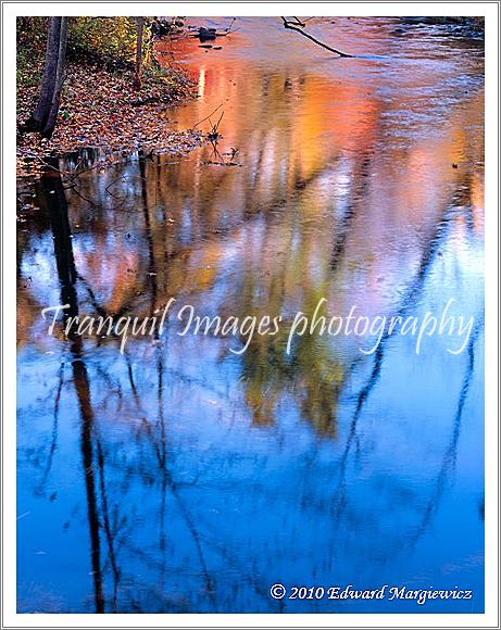 450714   Reflections, Stoney Creek Nature Center